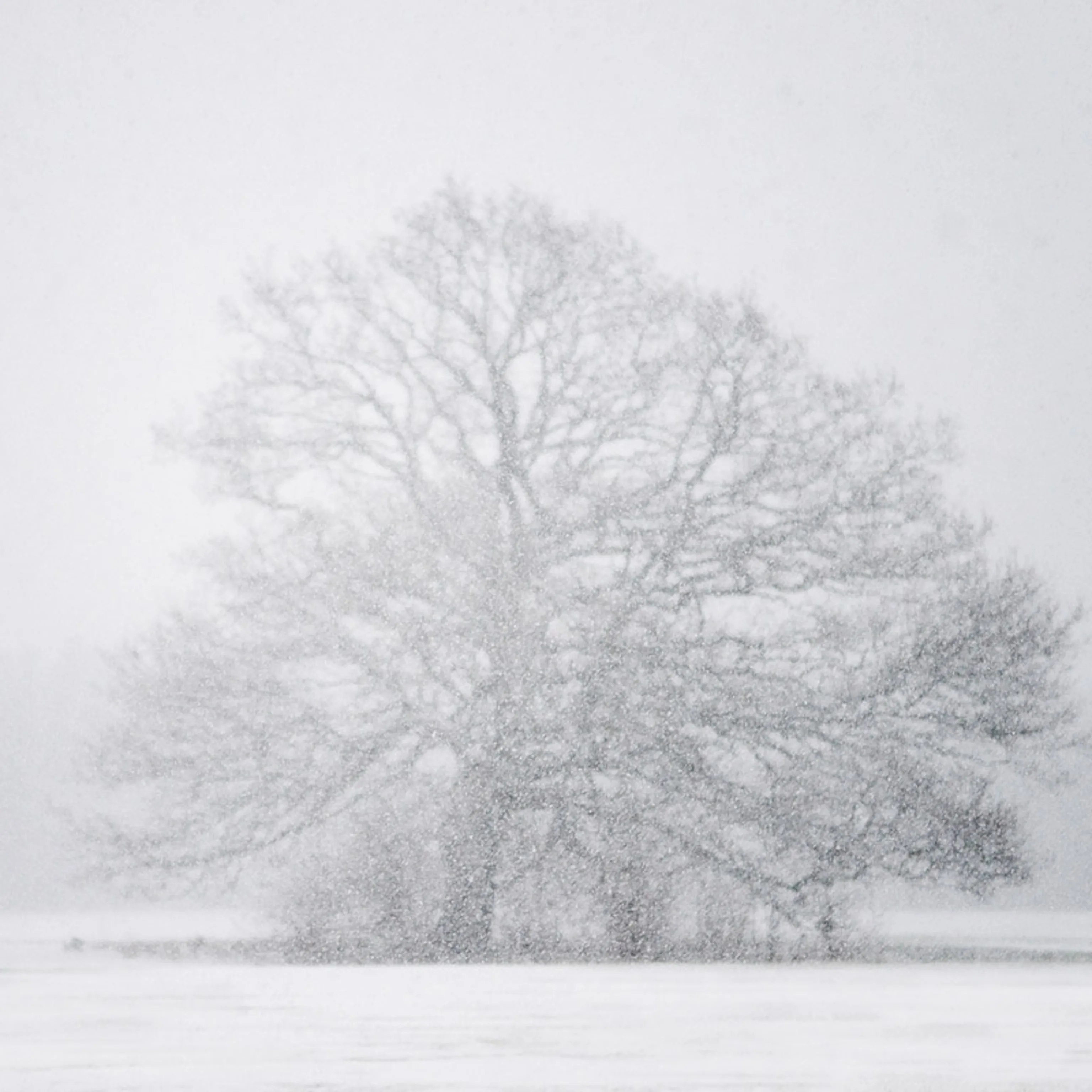 Natural Disasters Blizzards