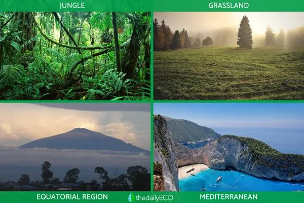 Natural Regions Definition And Examples Of Geographical Units