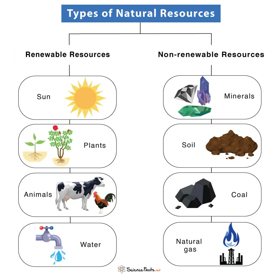 Natural Resources Definition Types Examples Diagram Science Facts Learn It All