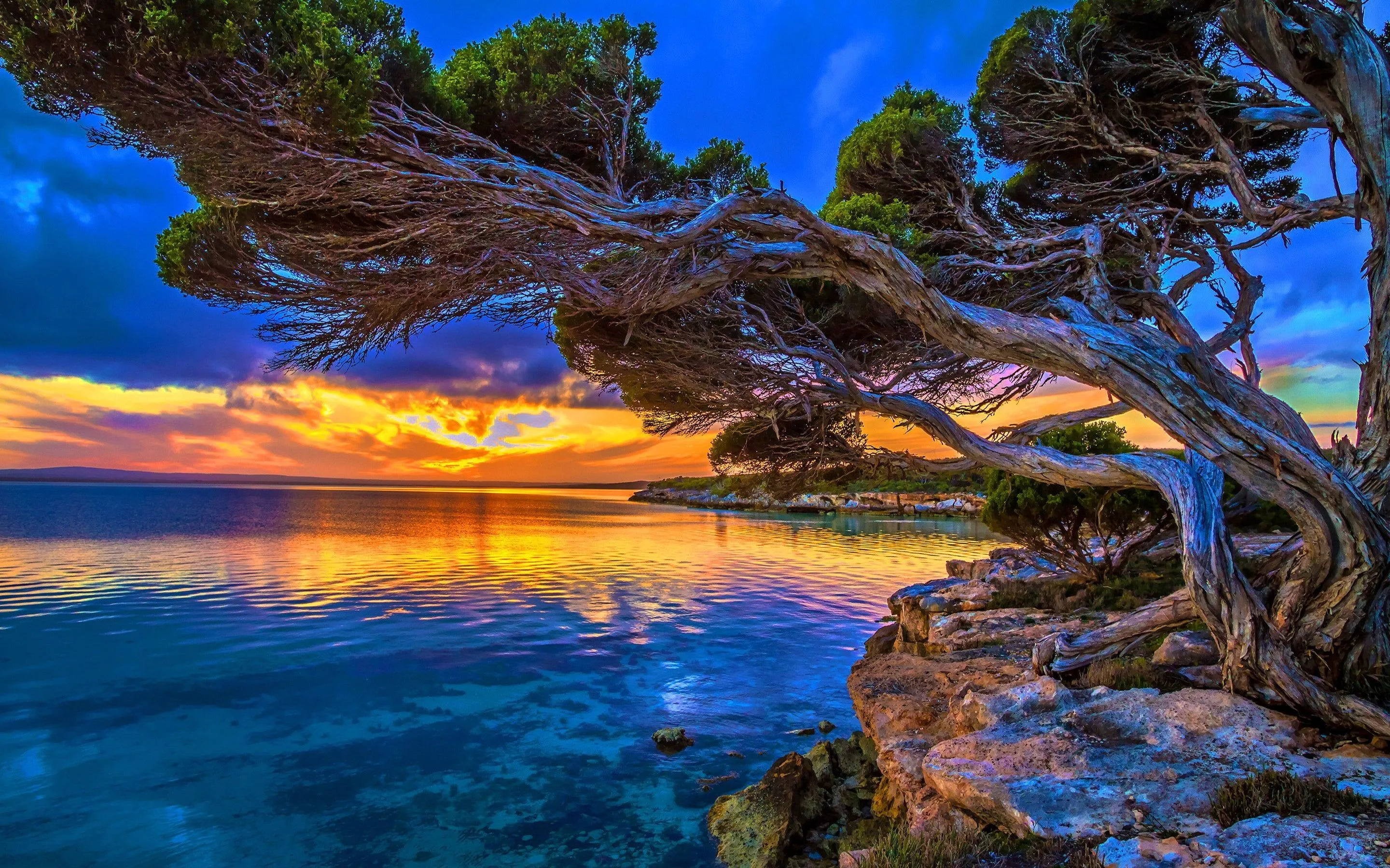 Natural Wallpaper 15 Best
