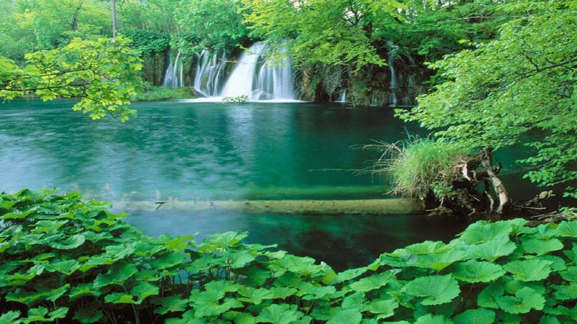 Nature Scenery Wallpapers Top Free Nature Scenery Backgrounds Wallpaperaccess