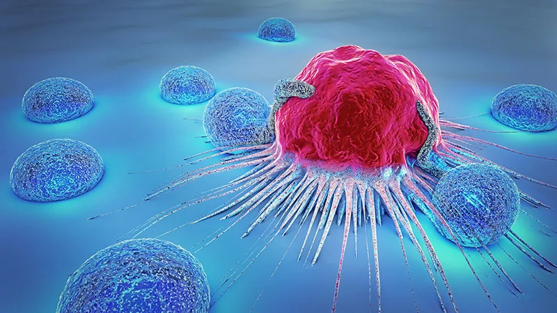 New Method Promises Fewer Side Effects From Cancer Drugs Drug Discovery And Development