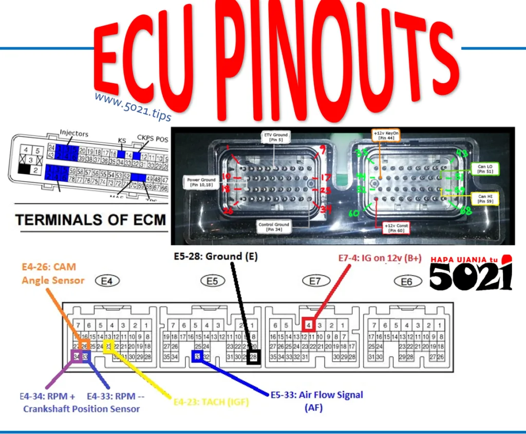 Nissan Ecu Pinout Diagram