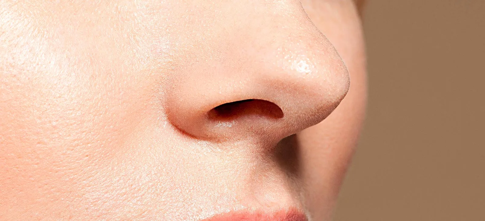 Nose