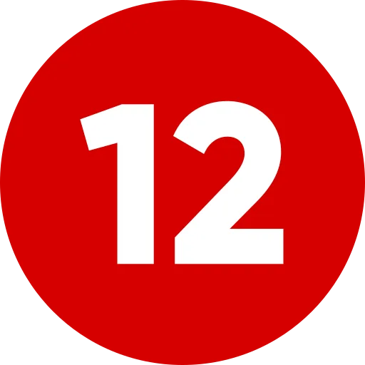 Number 12 Generic Flat Icon