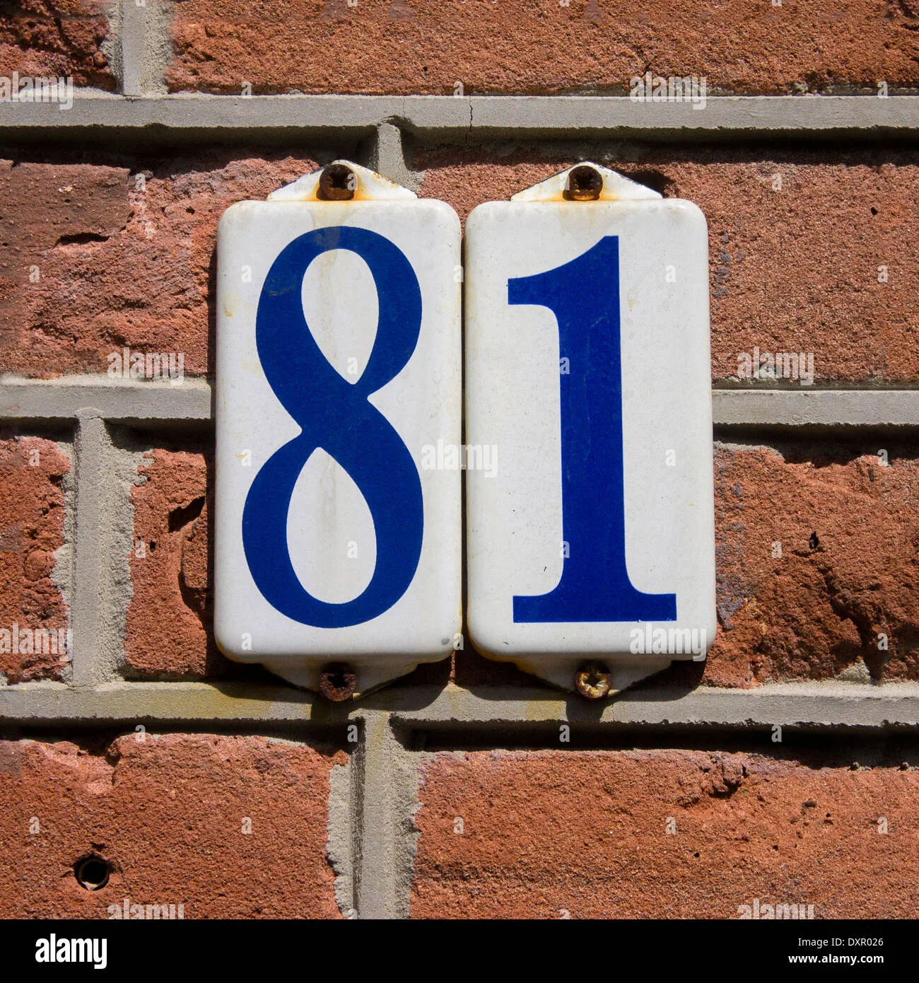 Number 81