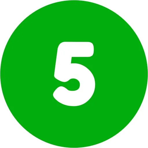 Number Five Icon