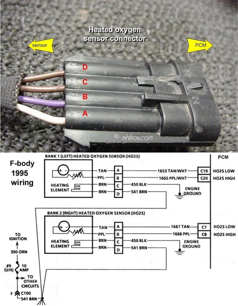 O2 Sensor Wiring Diagram Volkswagen 2 0 Pin Wiring Diagram D
