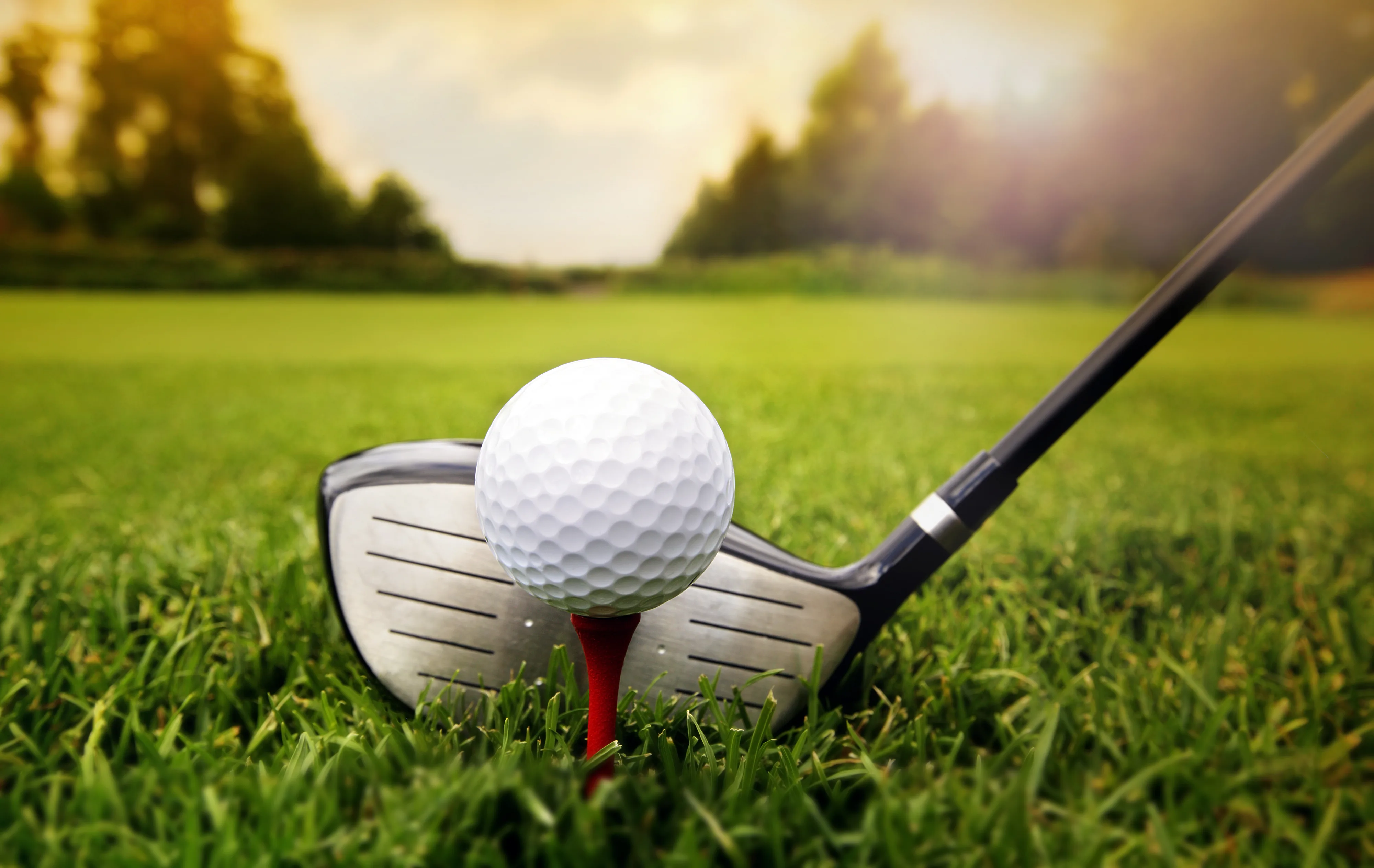 One Club Golf Tournament Walterboro Sc