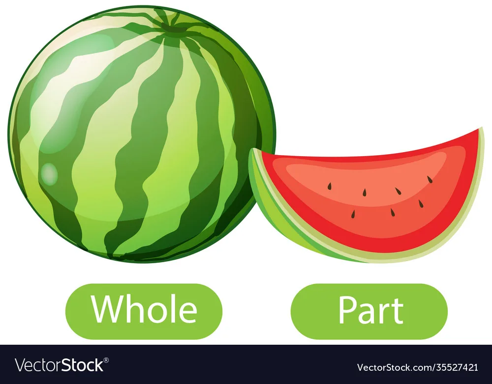 Opposite Words With Whole And Part Royalty Free Vector Image