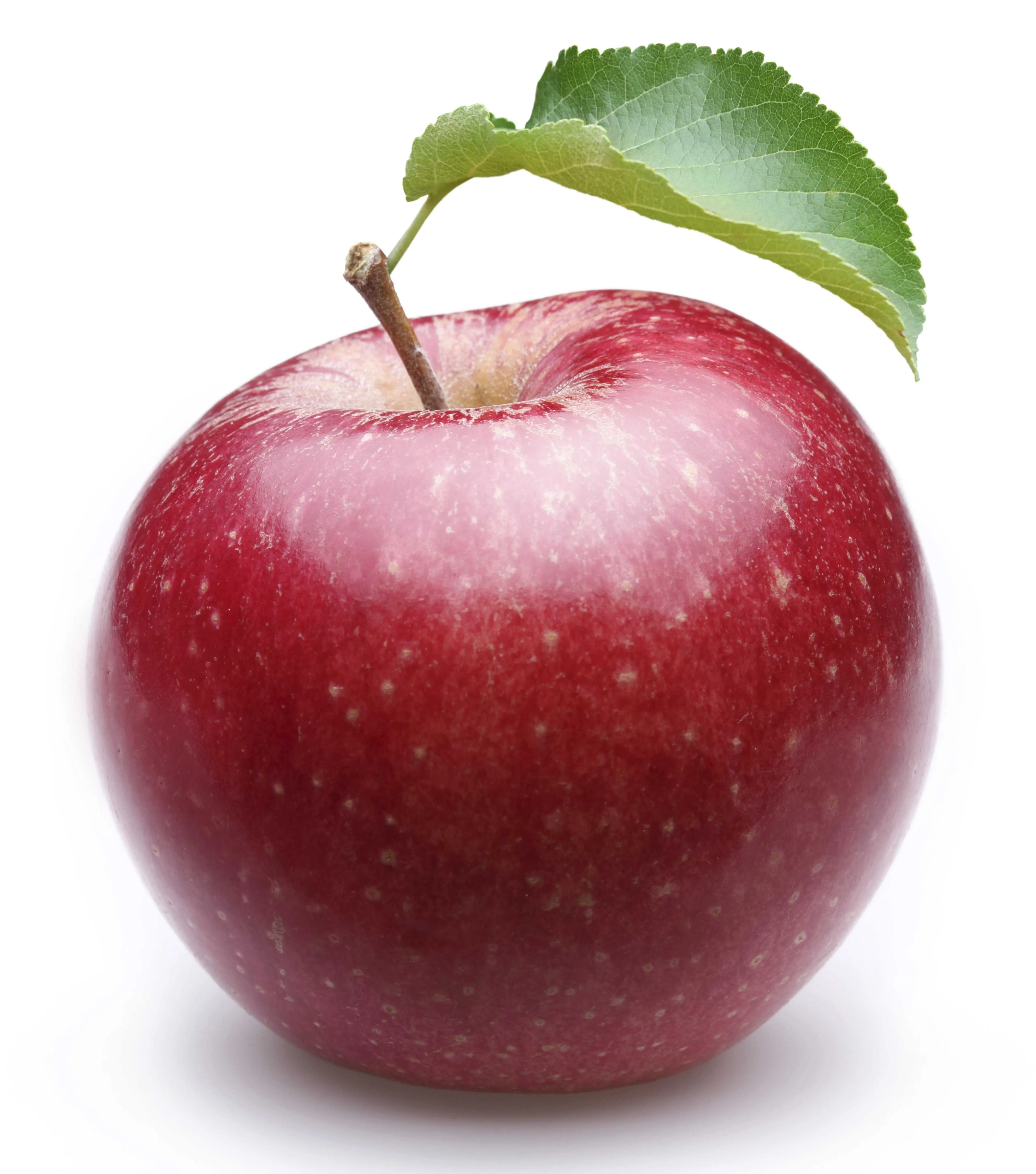 Organic Apples Online Ice Apple Online Delivery Fruitssupplier