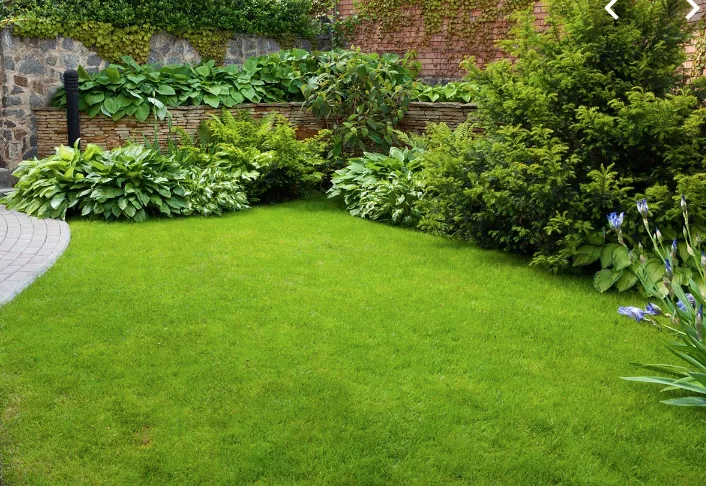 Organic Lawn Care For Your Lawn Jd Organic Landscape