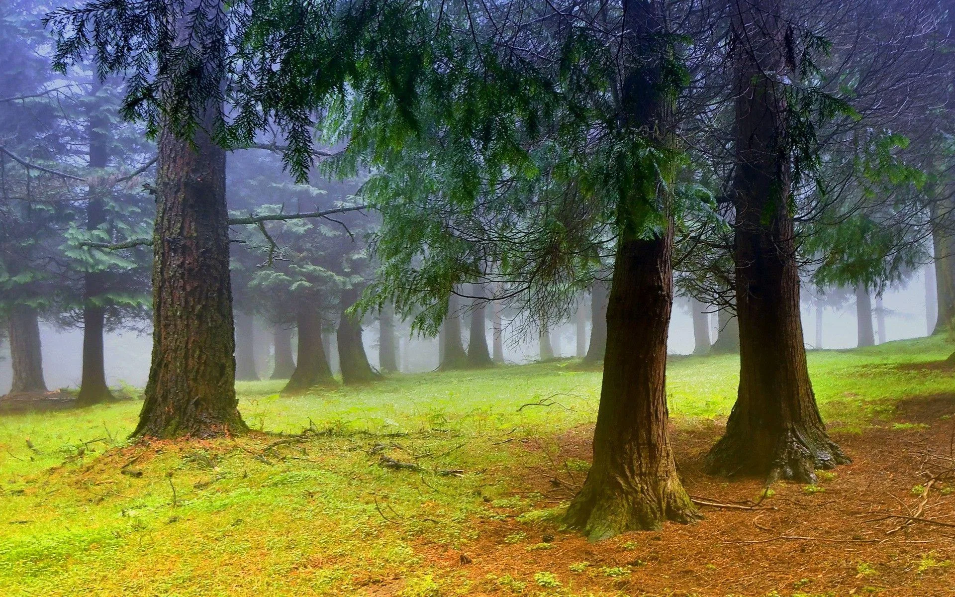 Outdoors Wallpapers Wallpaper Cave