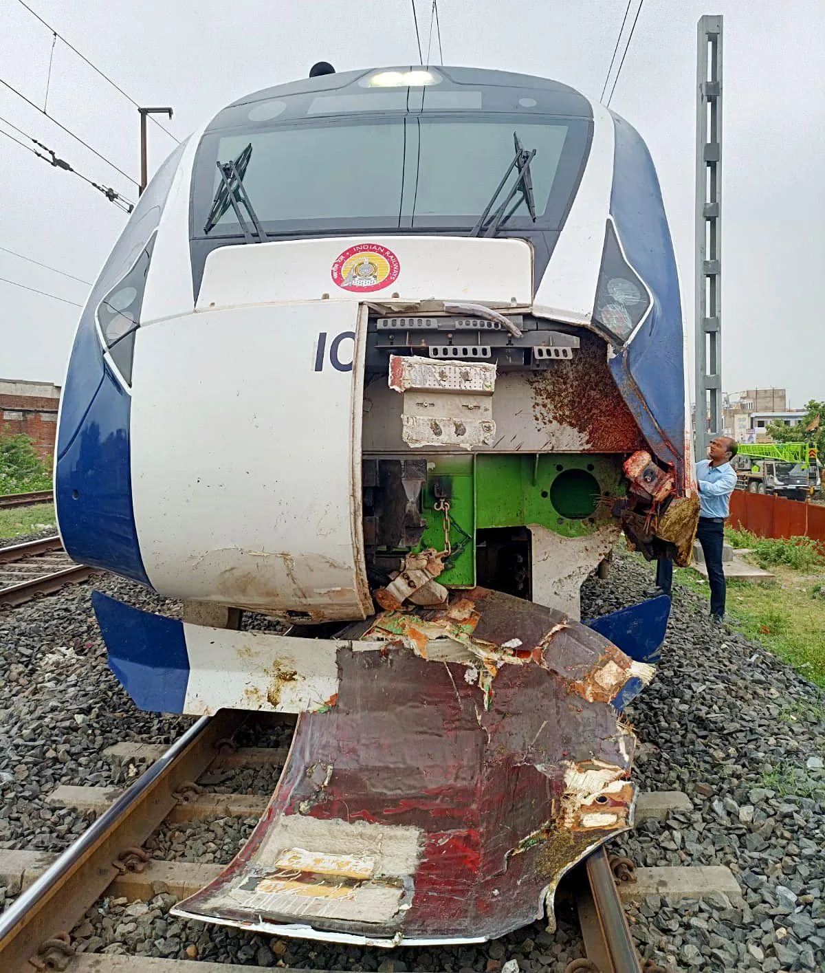 Owners Of Buffaloes Hit By Vande Bharat Express Booked India News