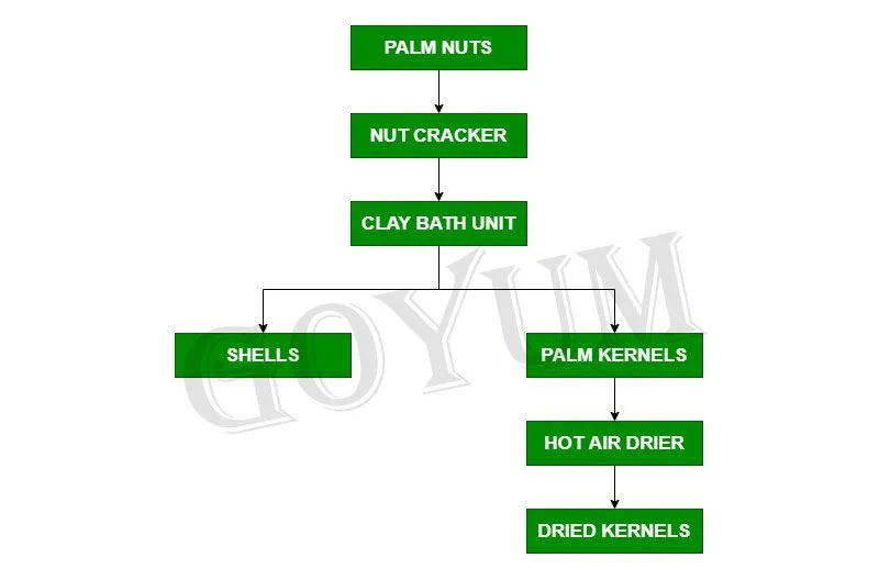 Palm Kernel Oil Manufacturing Process With Flowchart Goyum