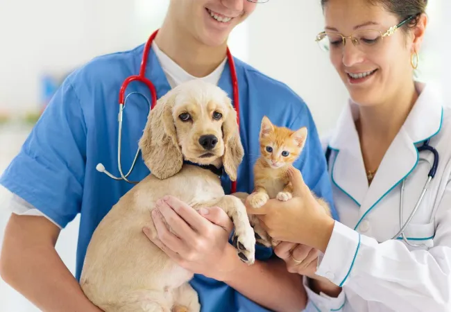 Pet Health Timeline What To Track When To Worry Ask A Vet