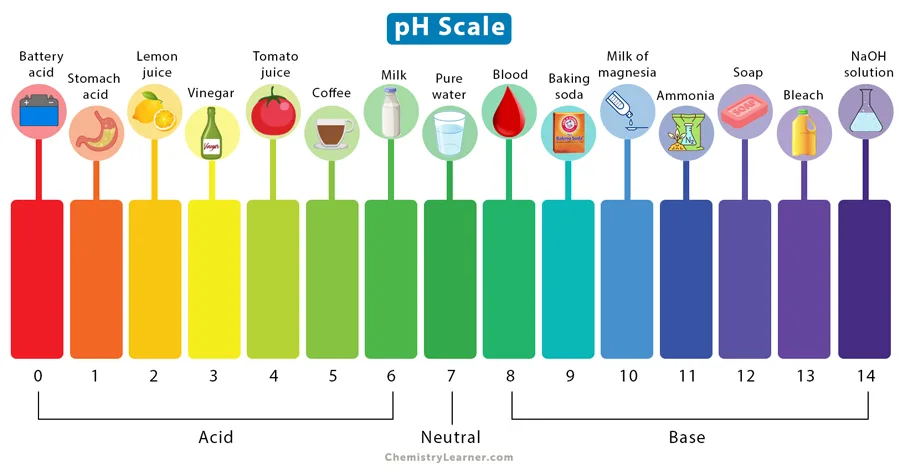 Ph Scale Definition Chart Values Range