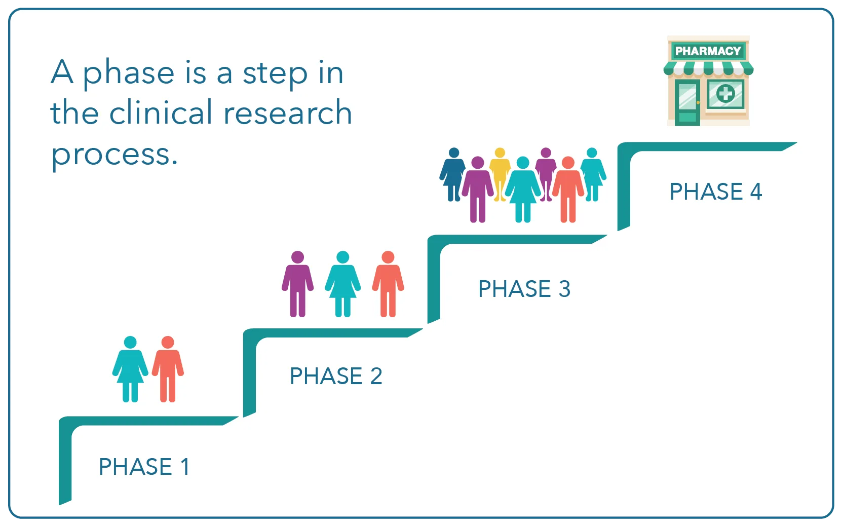 Phase Clinical Research Glossary