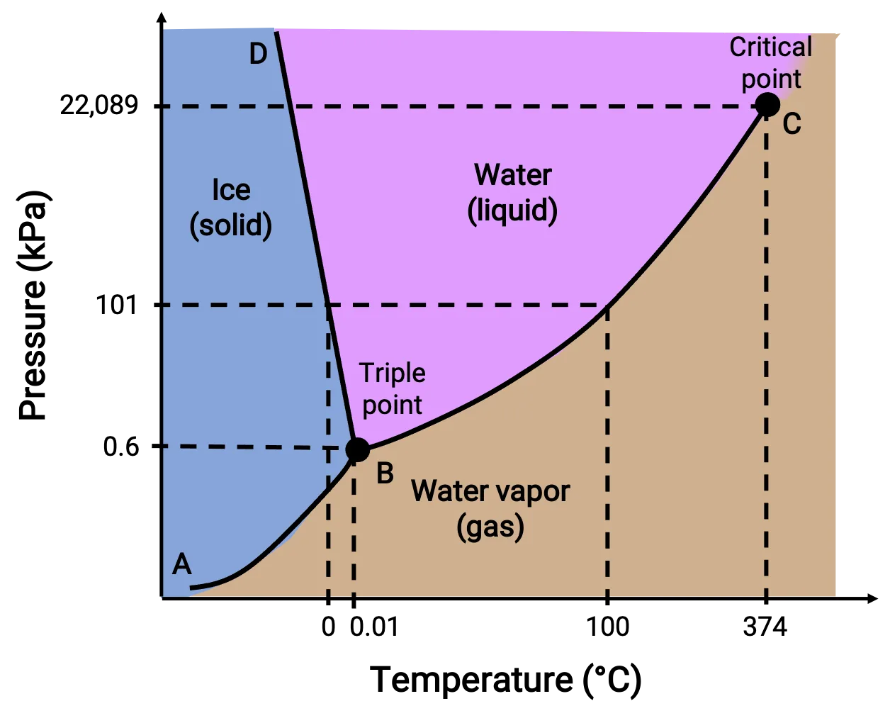 Phase Diagram Of Co2 In Comparison To Water Solution Differ