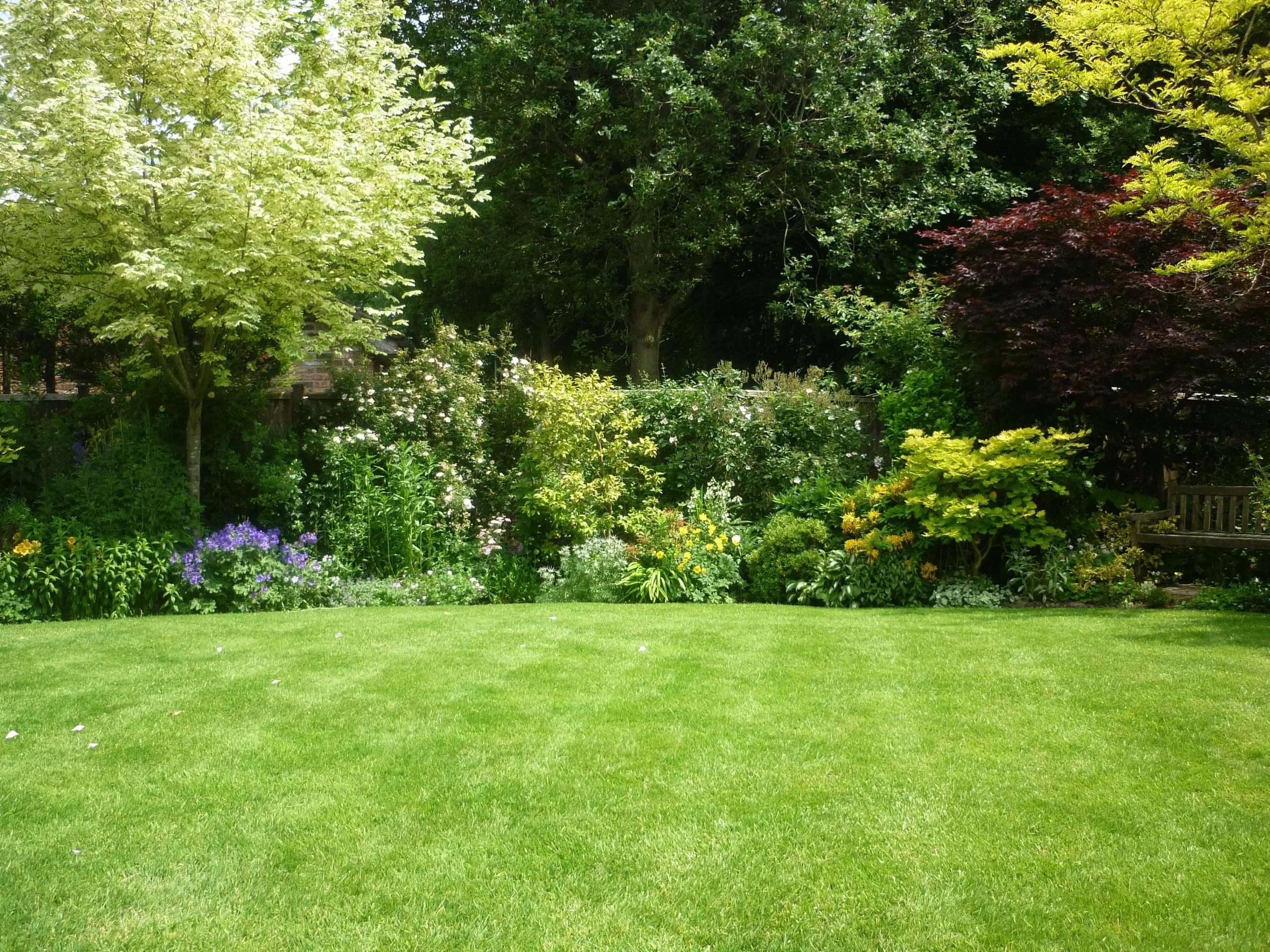 Picture Of An Example Lawn The Lawn Man