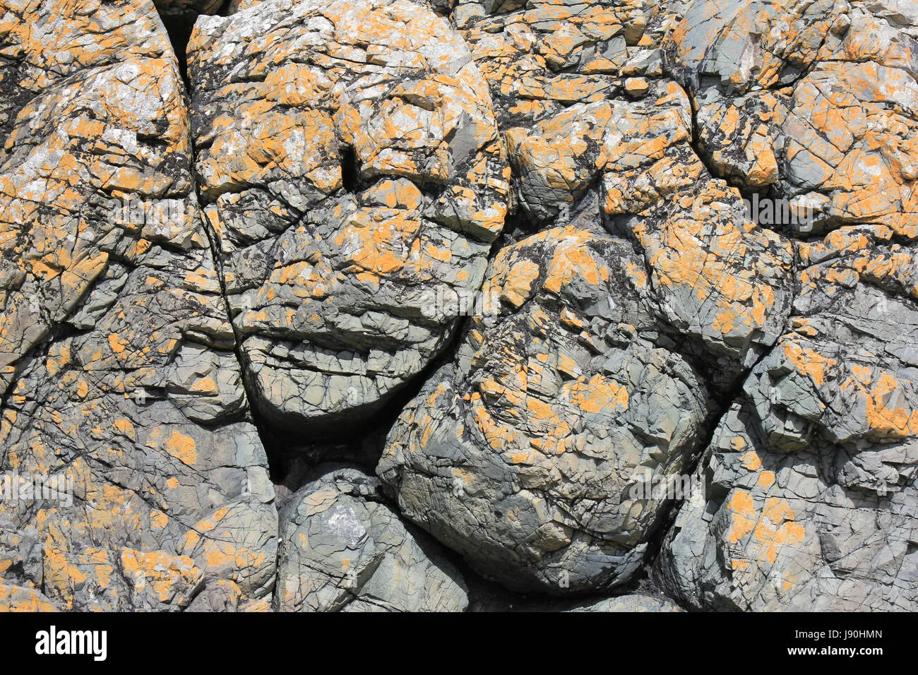 Pillow Lava