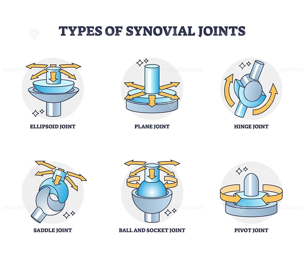 Pin On Joints