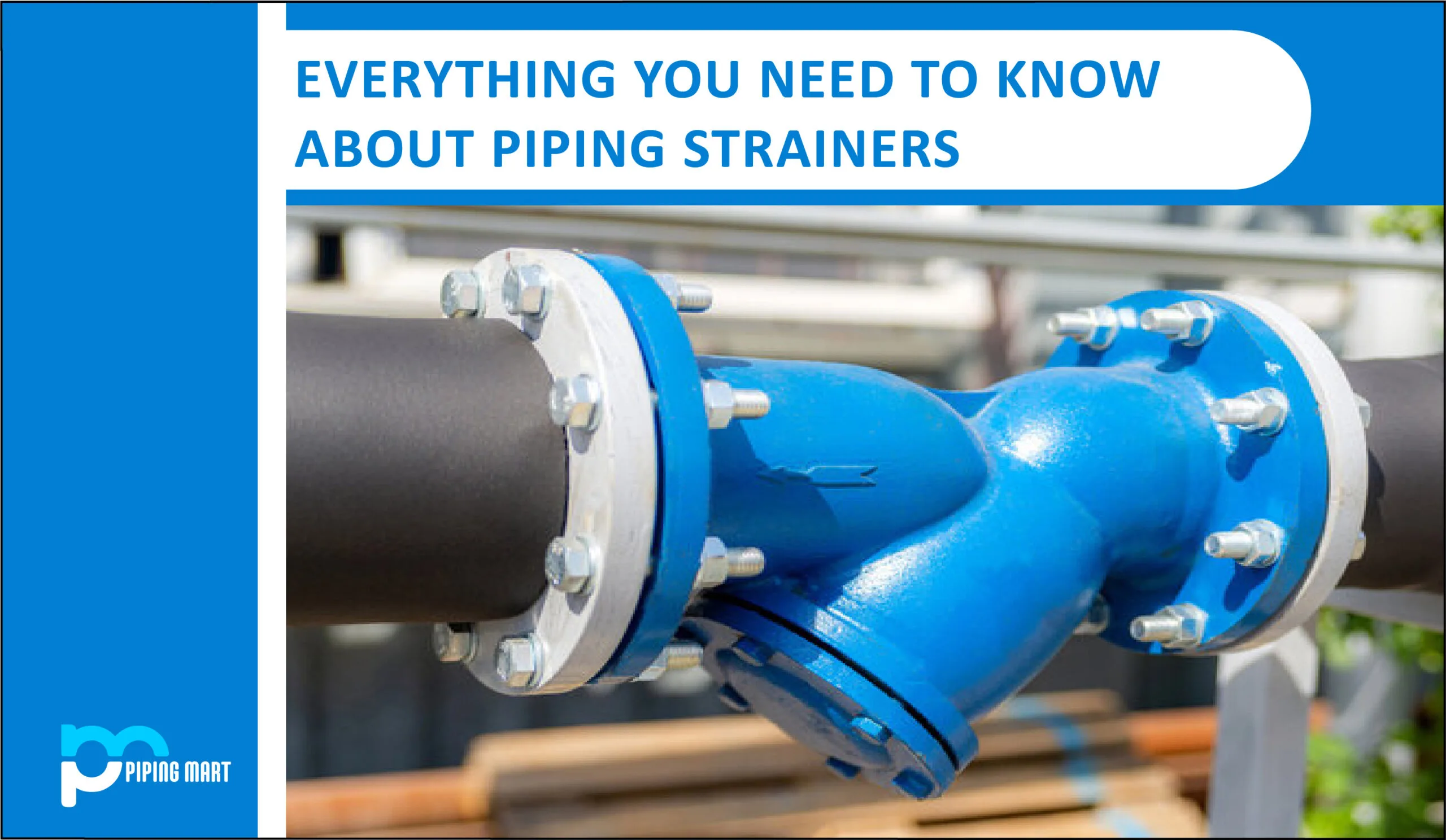 Piping Strainers Everything You Need To Know About