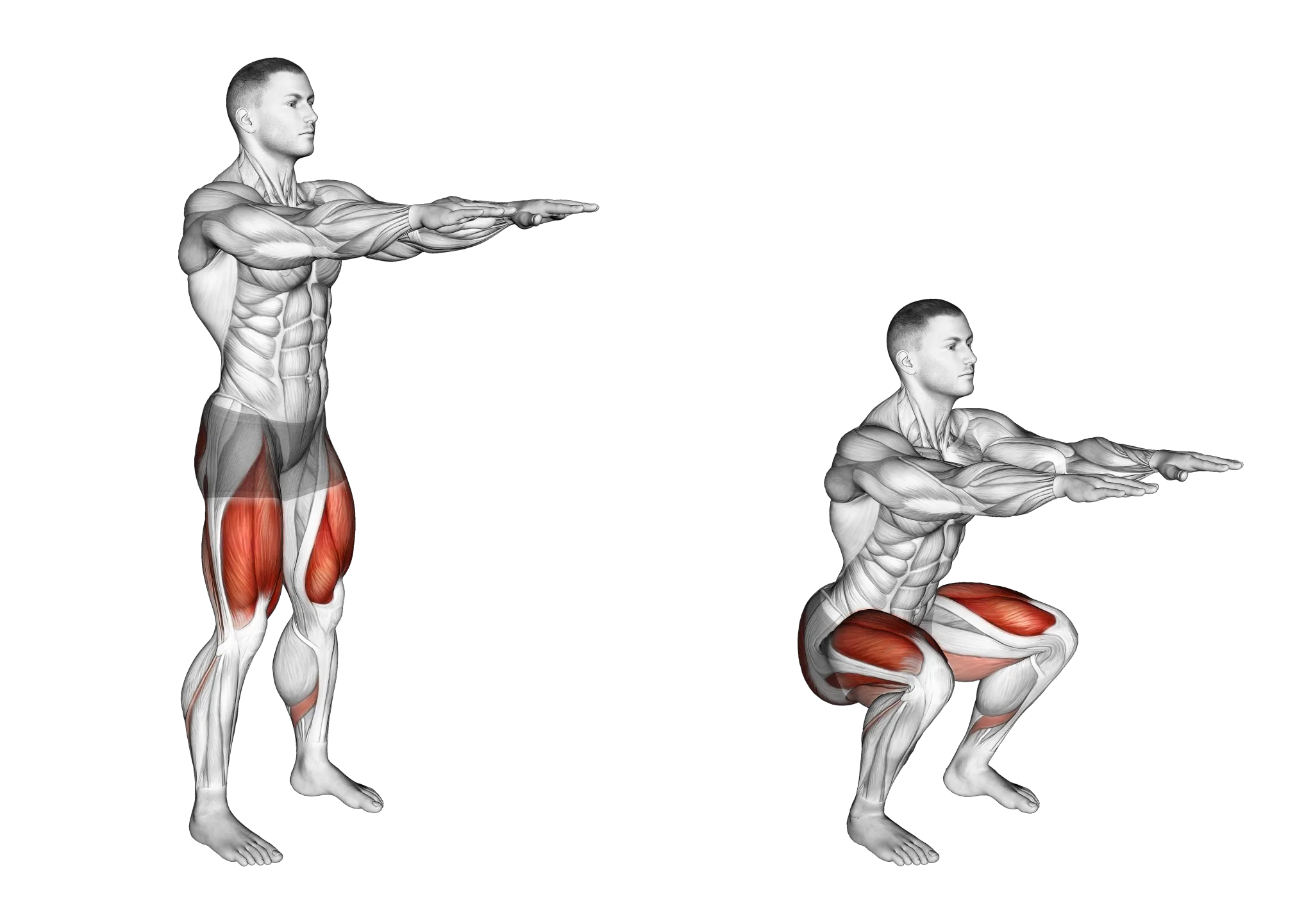 Pistol Squat Progression 7 Exercises To Use Inspire Us