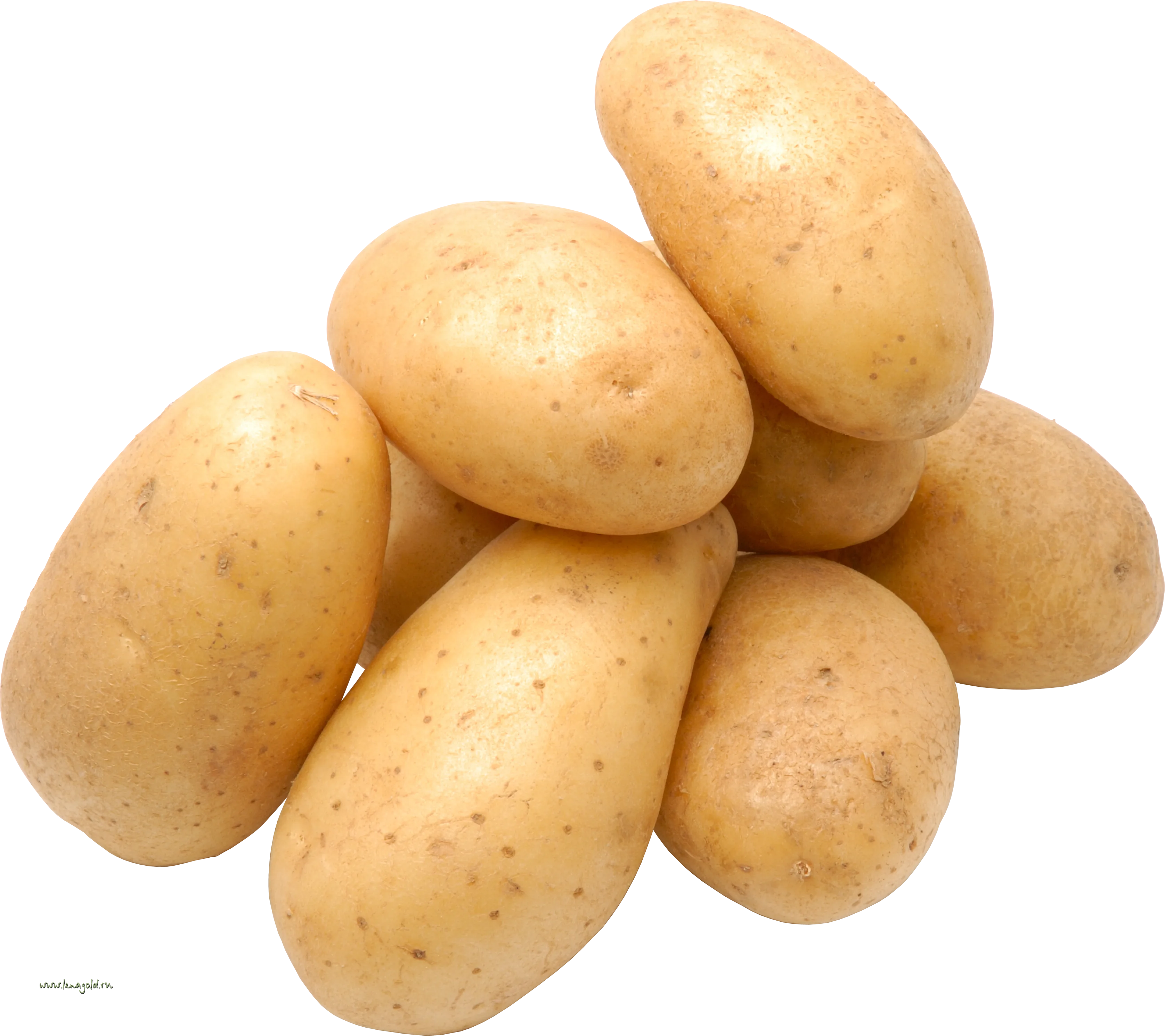 Potato Hd Png Transparent Background Free Download 38702 Freeiconspng