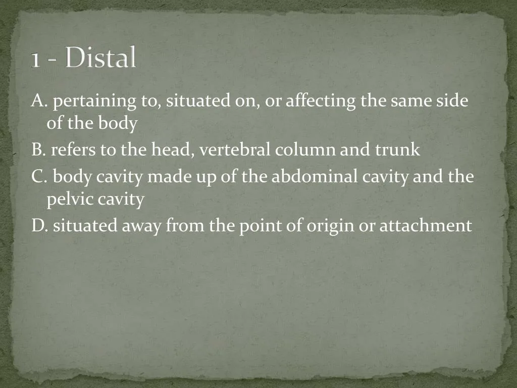 Ppt Anatomical Terms Review Powerpoint Presentation Free Download Id 2258393