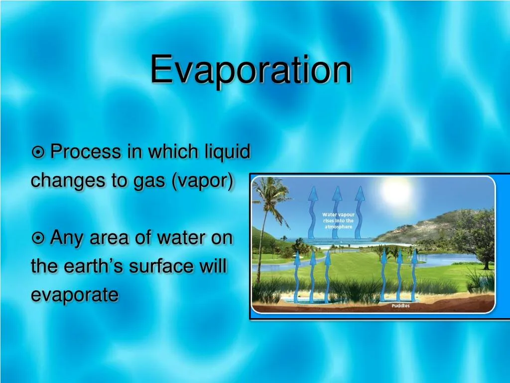 Ppt The Water Cycle And How Humans Impact It Powerpoint Presentation Id 674726