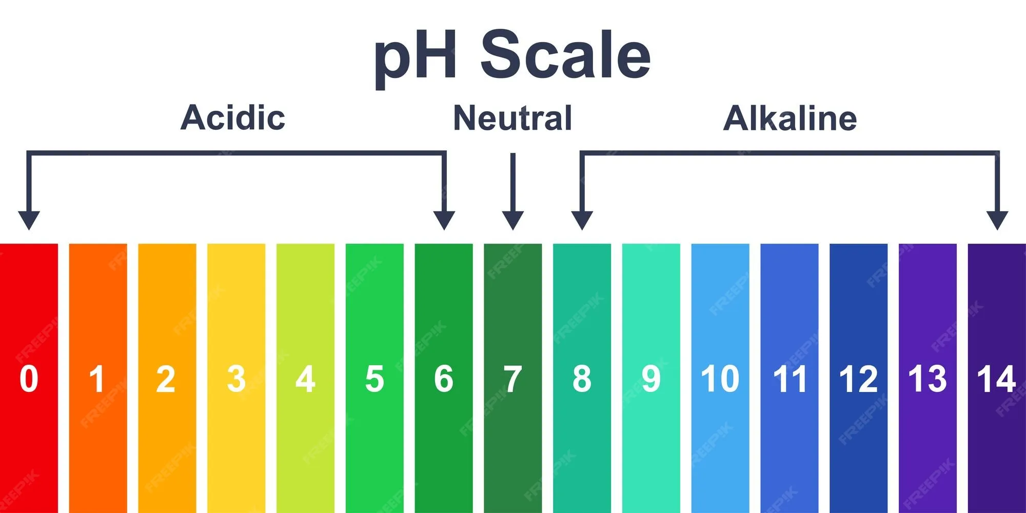Premium Vector Chart Ph Acidic Neutral And Alkaline Scale Ph Value Scale Chart Indicator