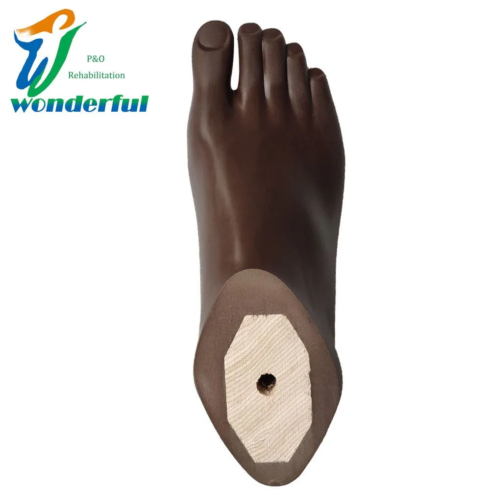 Prosthetic Foot Artificial Limbs Feet For Lower Parts Amputees Prosthetic Brown Sach Foot Ortho