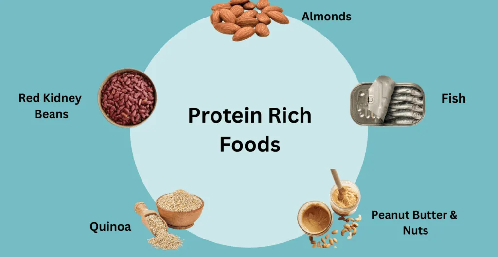Protein Rich Foods Top 20 Foods High In Protein Livofy