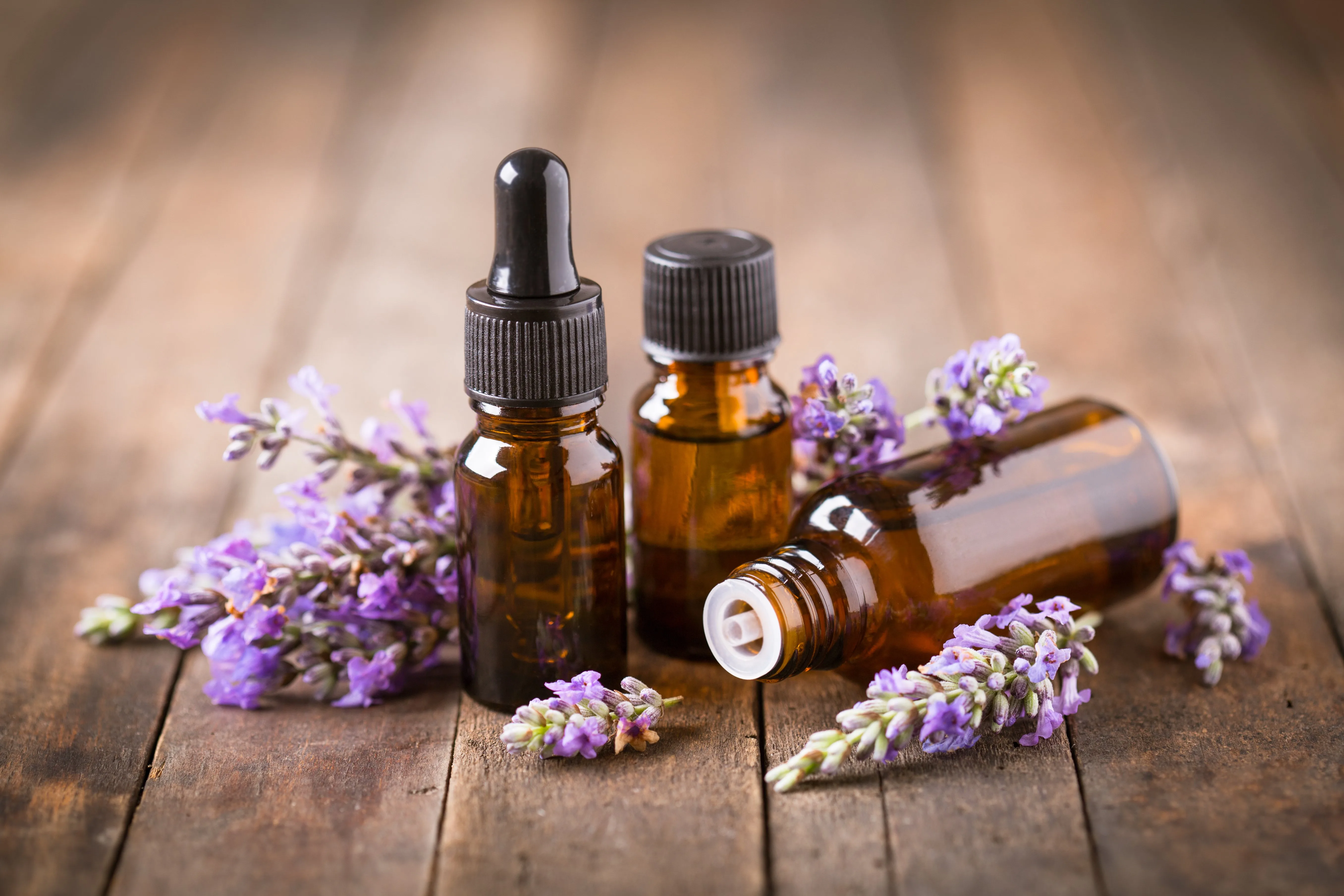 Q A What Is An Essential Oil Citrus And Allied Essences Ltd