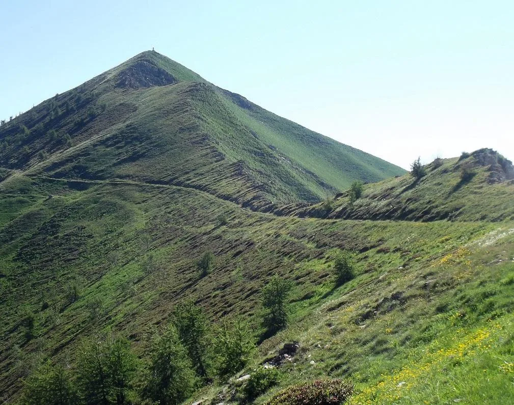 Qué Es Un Monte Características Animales Y Plantas