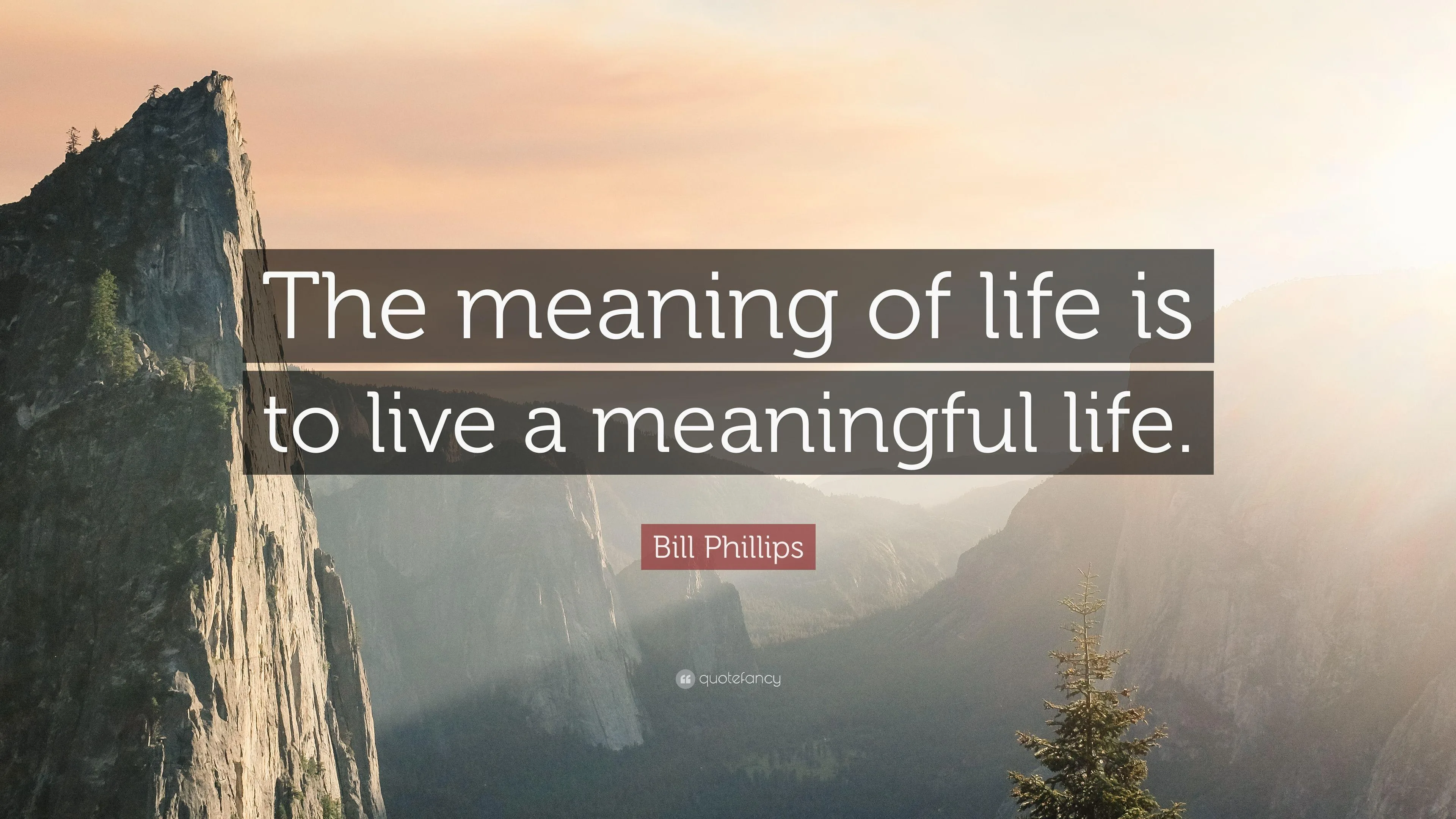 Quotation Meaning