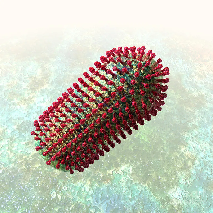 Rabies Virus Diagram