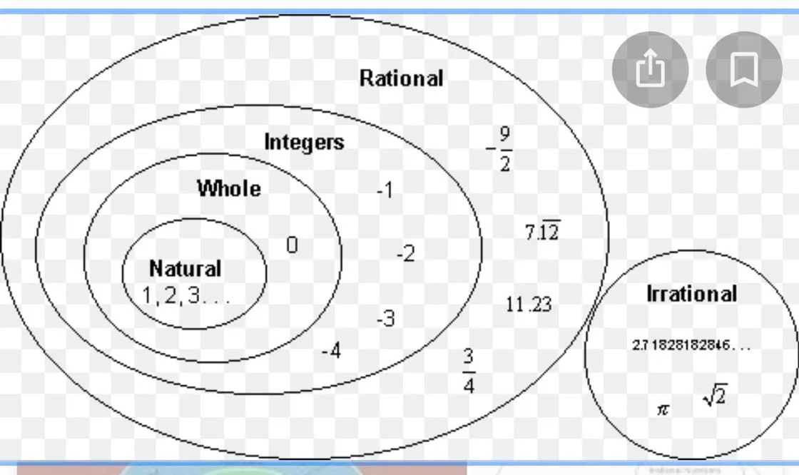Real Natural Whole Numbers