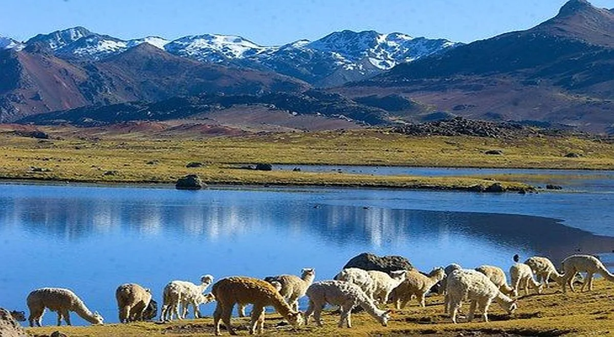 Regiones Naturales Del Perú La Sierra Características Ubicación El Popular