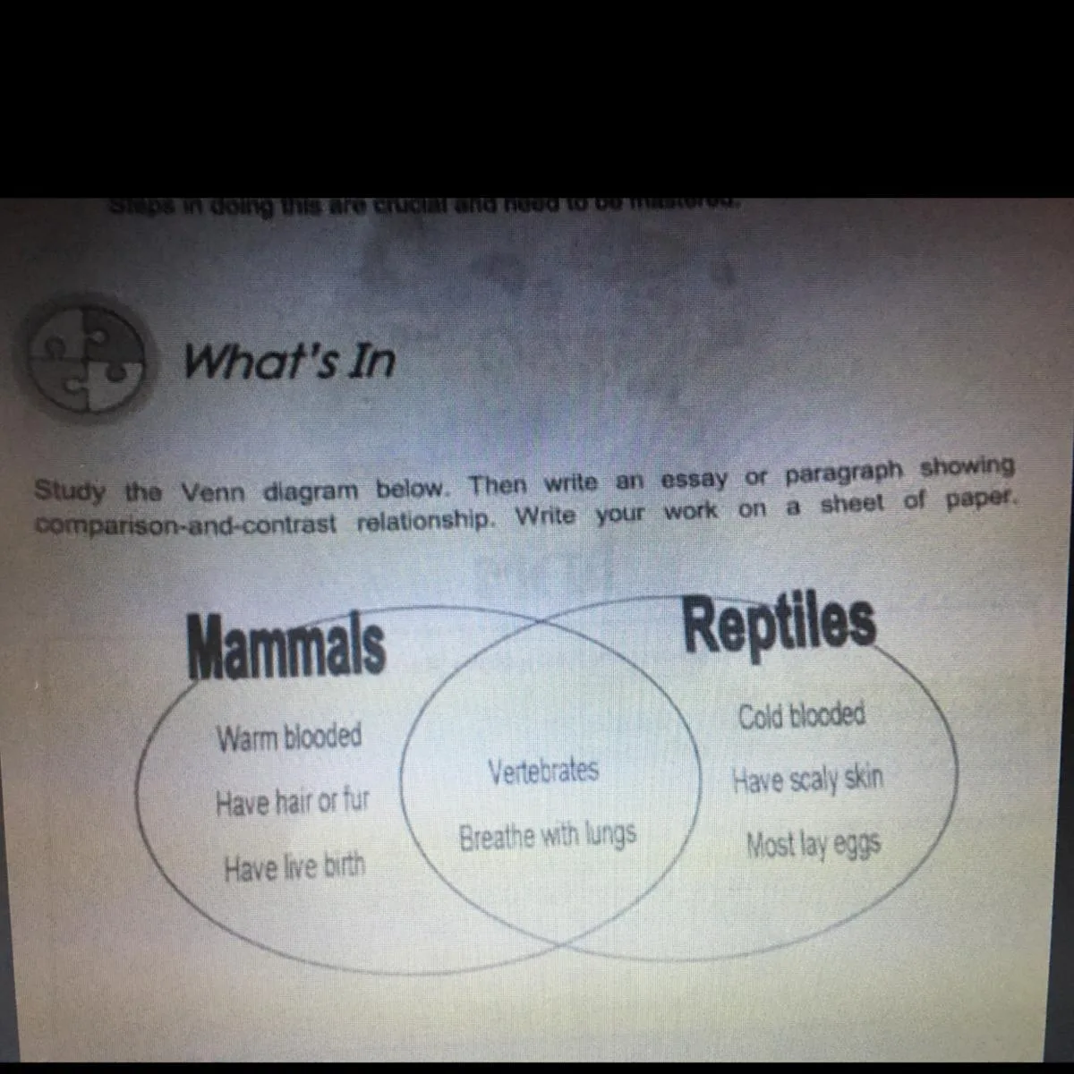 Reptiles And Amphibians Venn Diagram