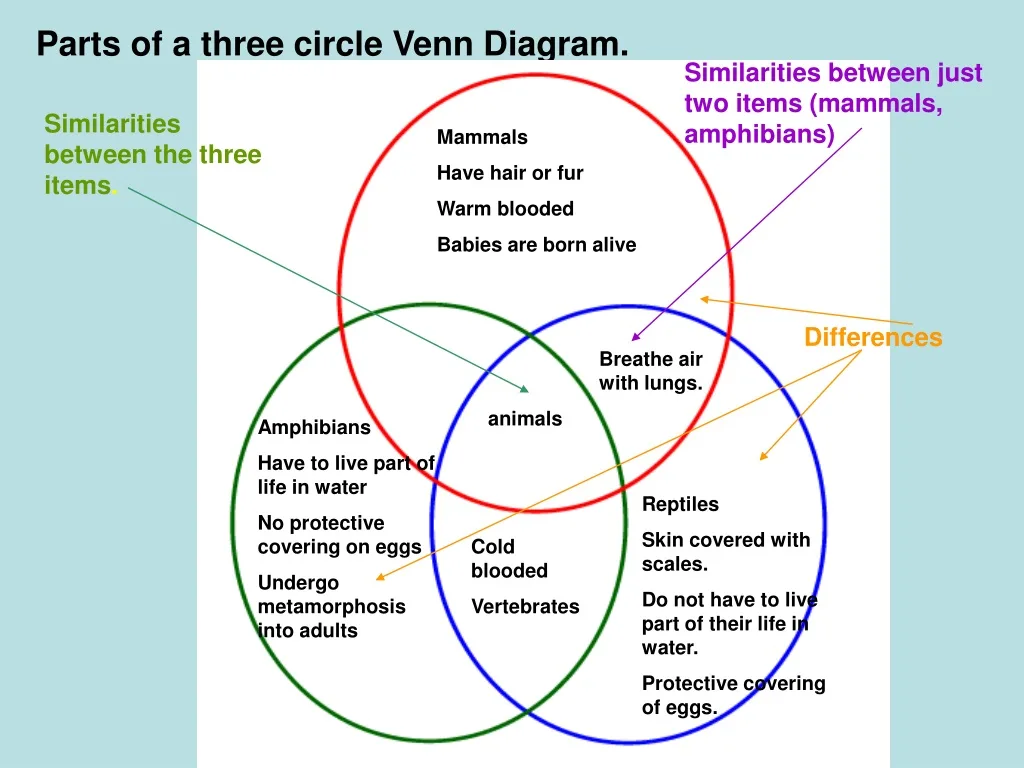 Reptiles And Amphibians Venn Diagram
