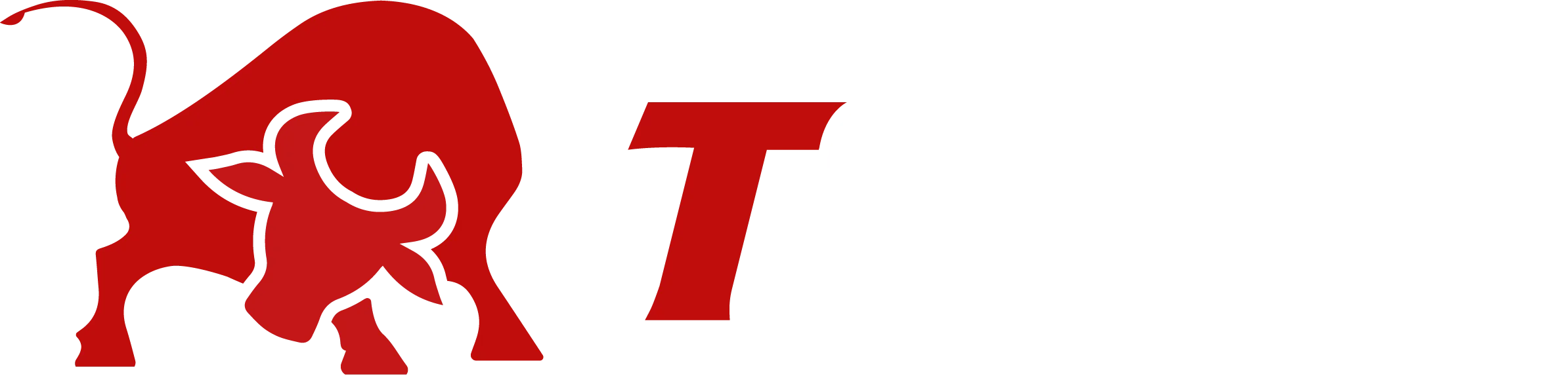 Rex Tr250 Toro Motos
