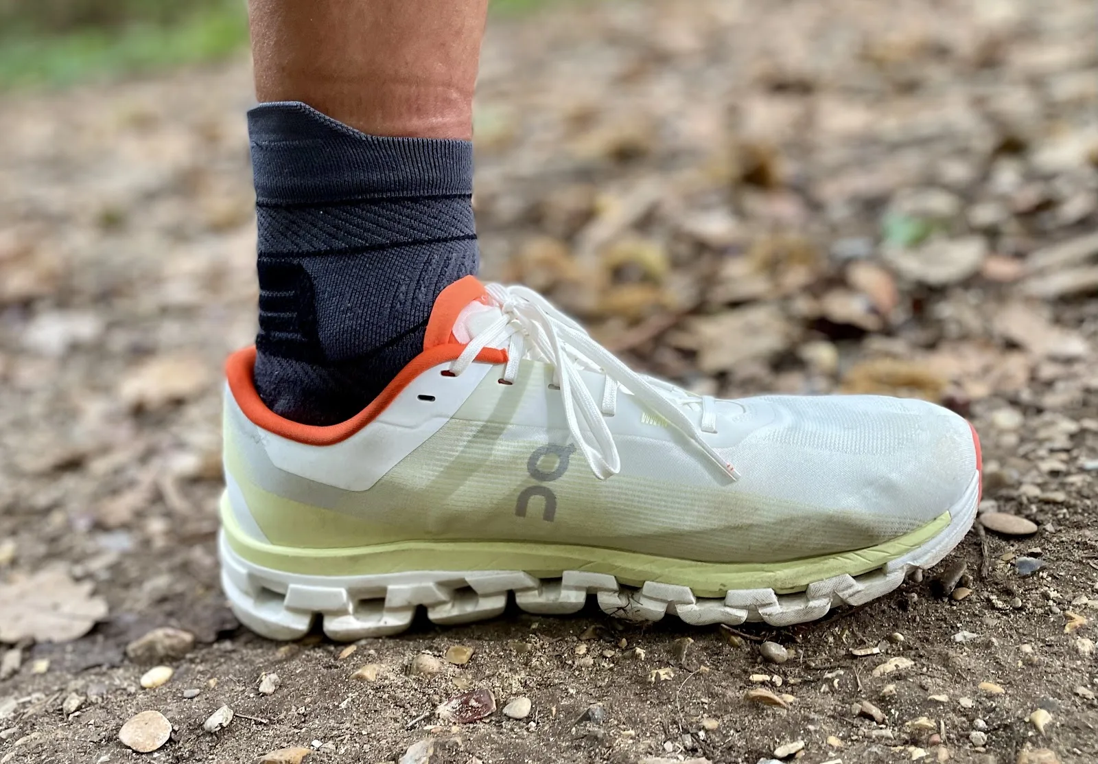 Road Trail Run On Cloudflow 4 Review Simply Enjoyable