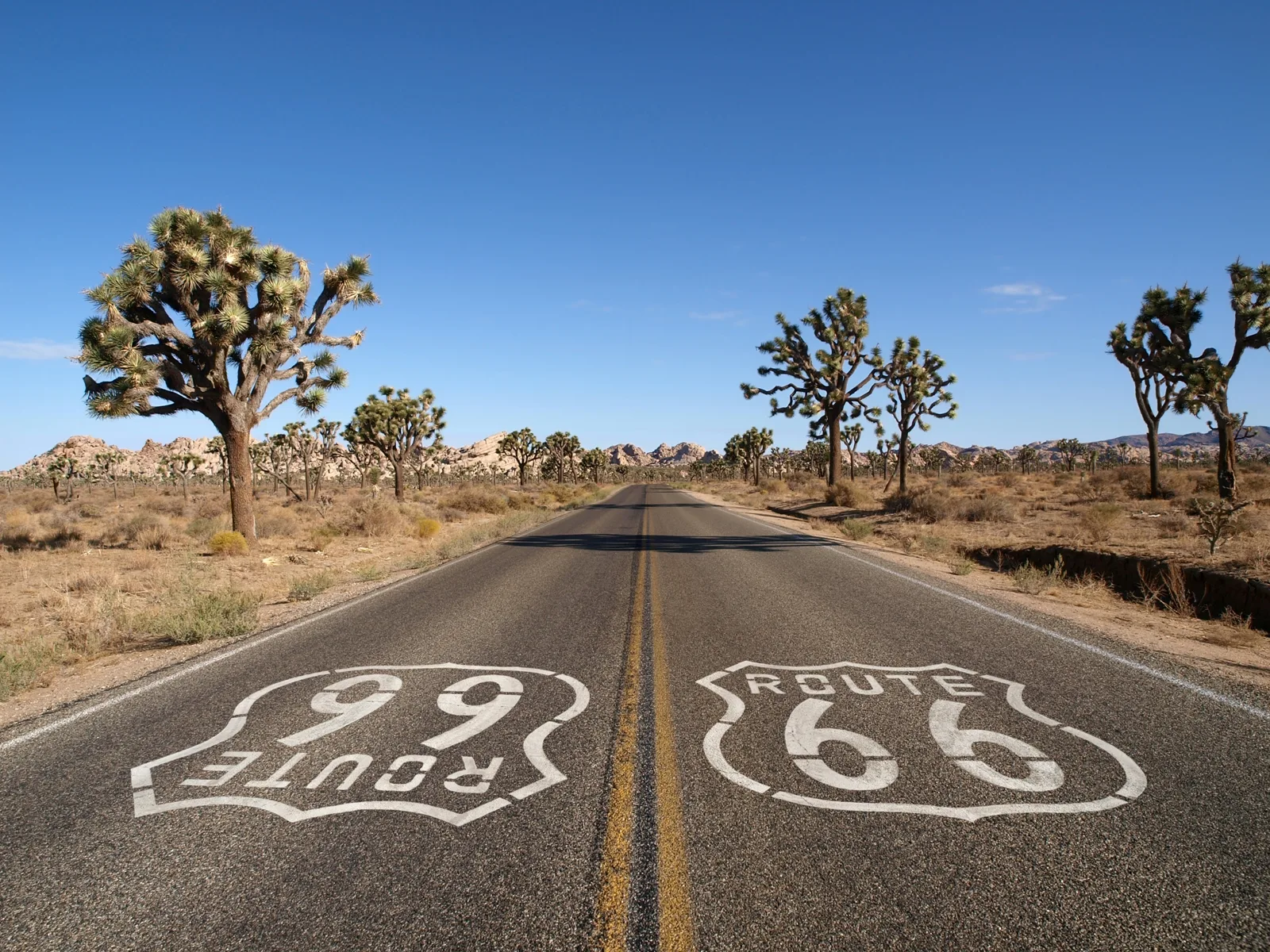 Route 66 Harleytour American Motorcycle Rentals