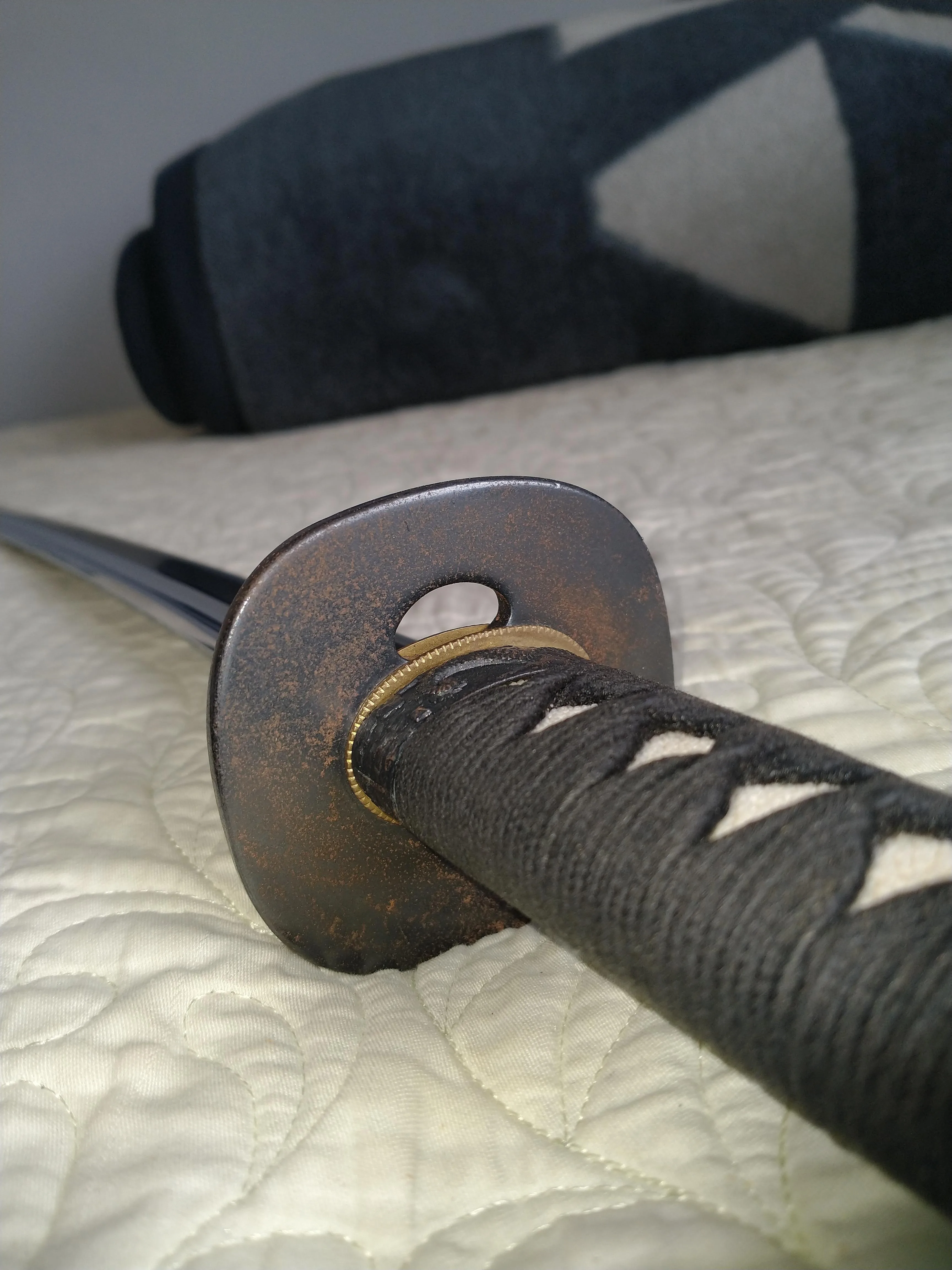 Rust Problems R Iaido