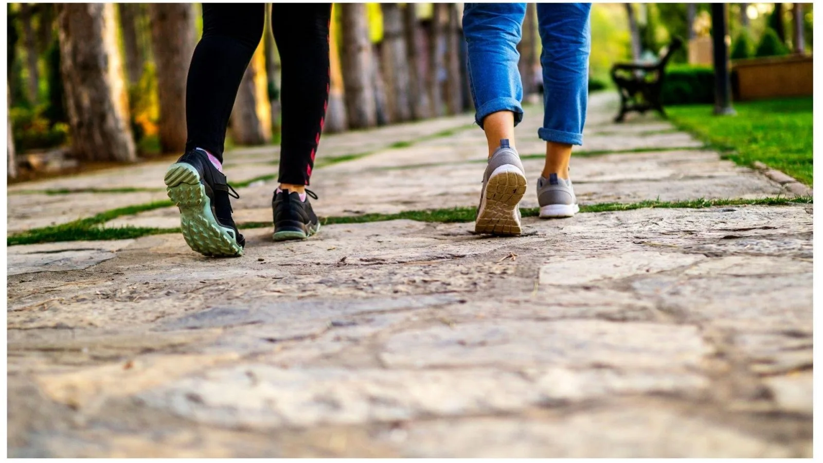 Ryan Health Take A Walk In The Park Day Is On March 30Th But You Can Do It Every Day