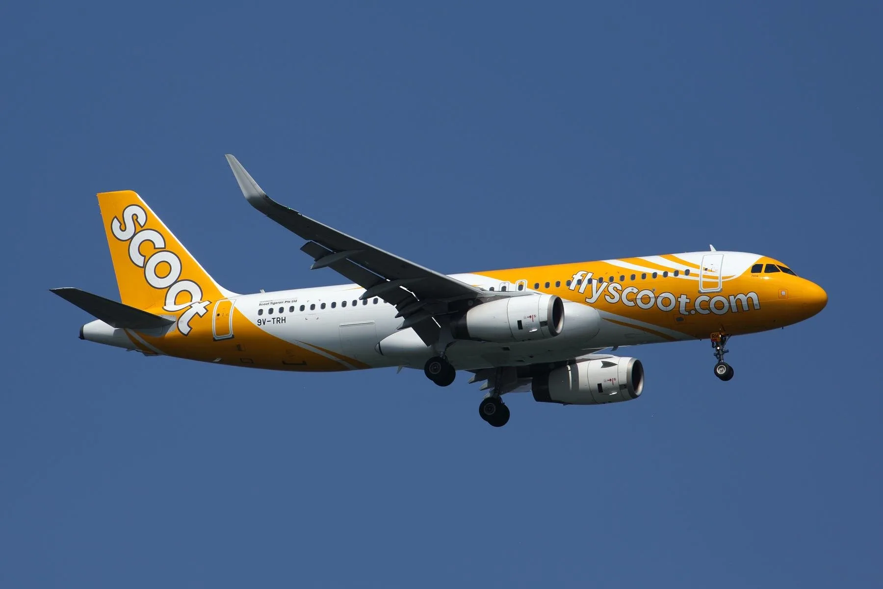 Scoot Singapore Airlines To Increase Flying As Asian Restrictions Lift Aviation Week Network