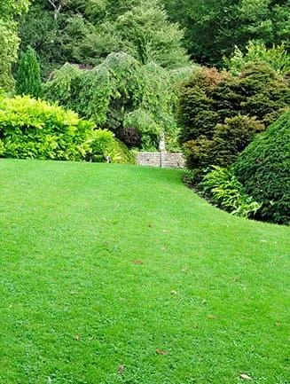 Scotts Lawn Builder Love The Garden