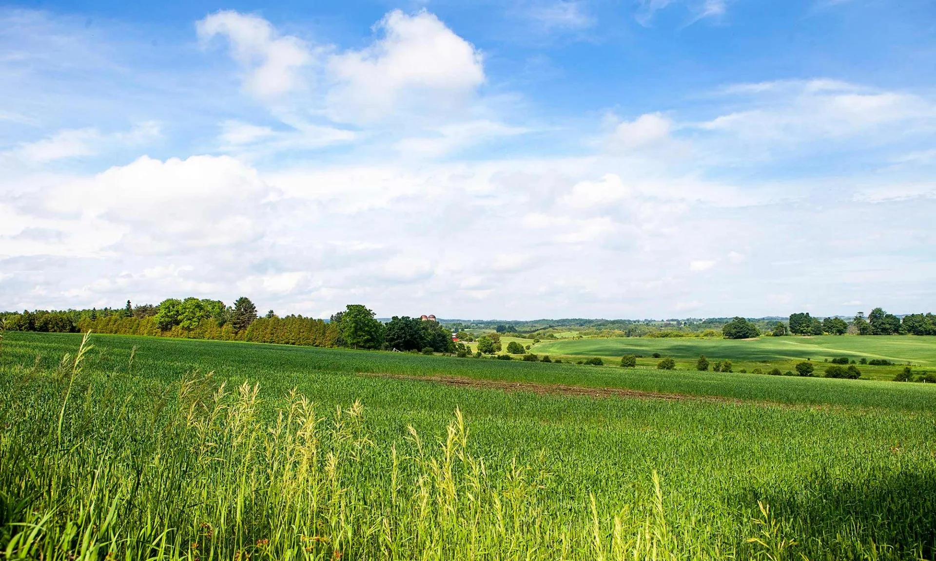 Sell Your Land In All Over The Usa Fast